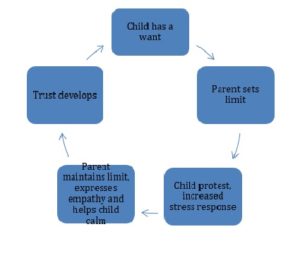 healthy second year attachment cycle