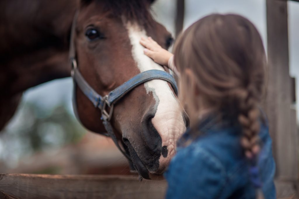 equine assisted therapy dhildren